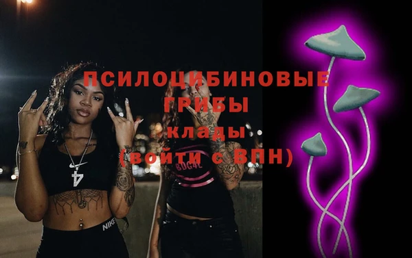 ПСИЛОЦИБИНОВЫЕ ГРИБЫ Лагань