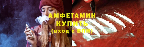 индика Ладушкин