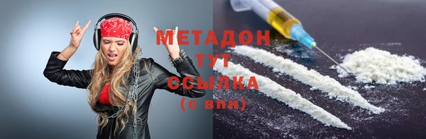 индика Ладушкин
