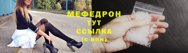 индика Ладушкин