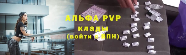 индика Ладушкин