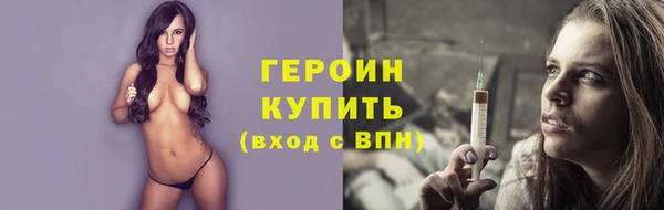 индика Ладушкин
