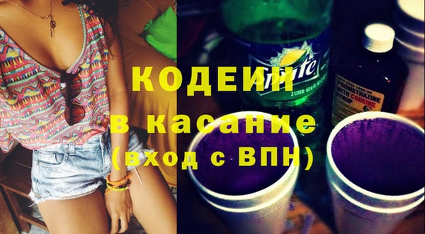 индика Ладушкин