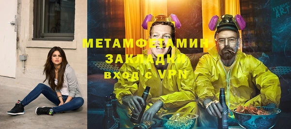 индика Ладушкин