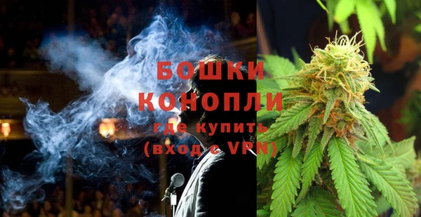 ПСИЛОЦИБИНОВЫЕ ГРИБЫ Лагань