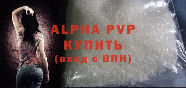 индика Ладушкин