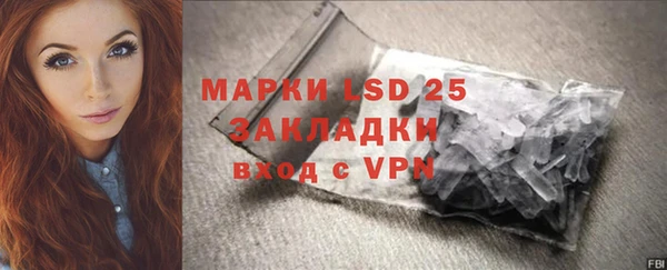 ПСИЛОЦИБИНОВЫЕ ГРИБЫ Лагань
