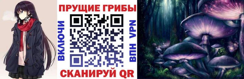Псилоцибиновые грибы мицелий  Нижнекамск 
