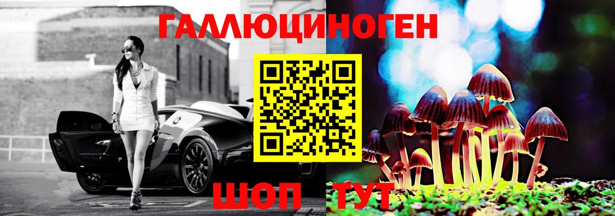 Нижнекамск  Псилоцибиновые грибы GOLDEN TEACHER  Вход с VPN 