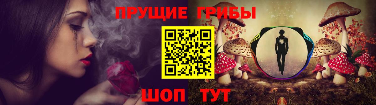 Галлюциногенные грибы Psilocybine cubensis Нижнекамск