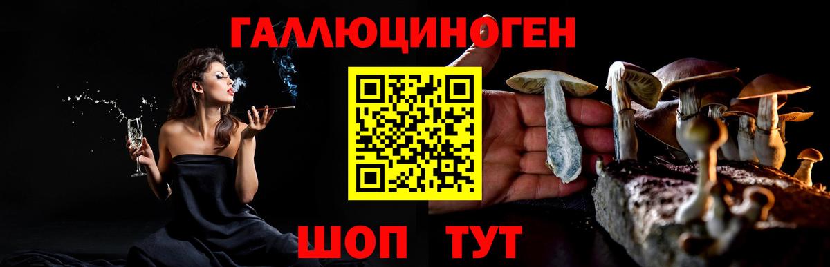 Псилоцибиновые грибы мицелий  где продают наркотики  Нижнекамск 