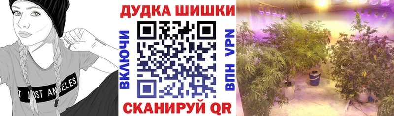 ссылка на мегу ссылки Нижнекамск Бошки марихуана Bruce Banner