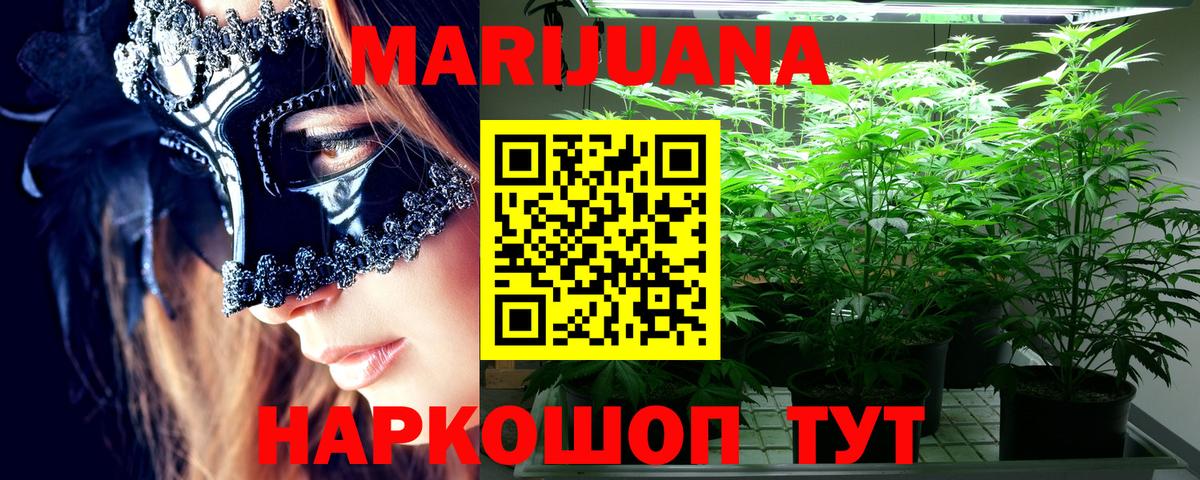 МАРИХУАНА план  Вход с VPN  Нижнекамск  Бошки Шишки план  Конопля Bruce Banner  Конопля SATIVA & INDICA 